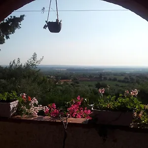 Natura Mediterranea Casa vacanze